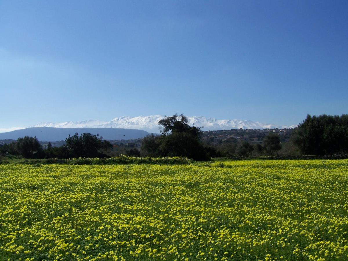 Manolo S Olive Farm, Apartment With Seaview خانيا المظهر الخارجي الصورة