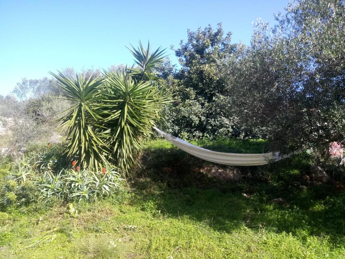 Manolo S Olive Farm, Apartment With Seaview خانيا المظهر الخارجي الصورة